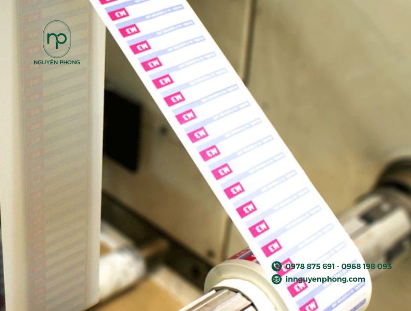 flexo-2-mau-24
